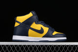 Nike SB Dunk High