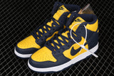 Nike SB Dunk High
