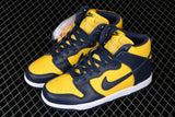 Nike SB Dunk High